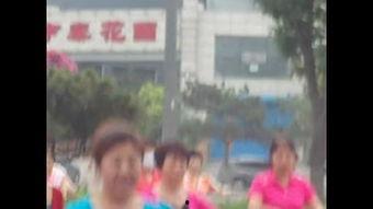 天天乐视频成人