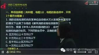 一级视频在线观看